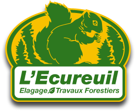 L'Ecureuil